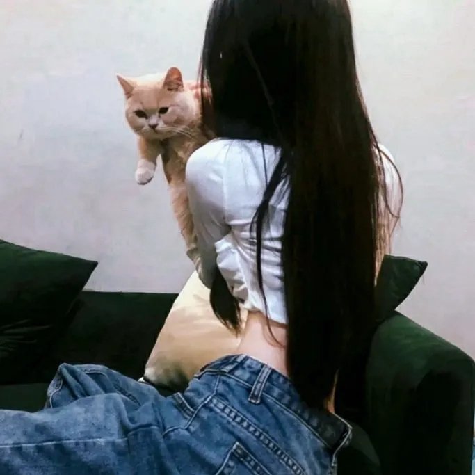 布莱泽奥特曼日语