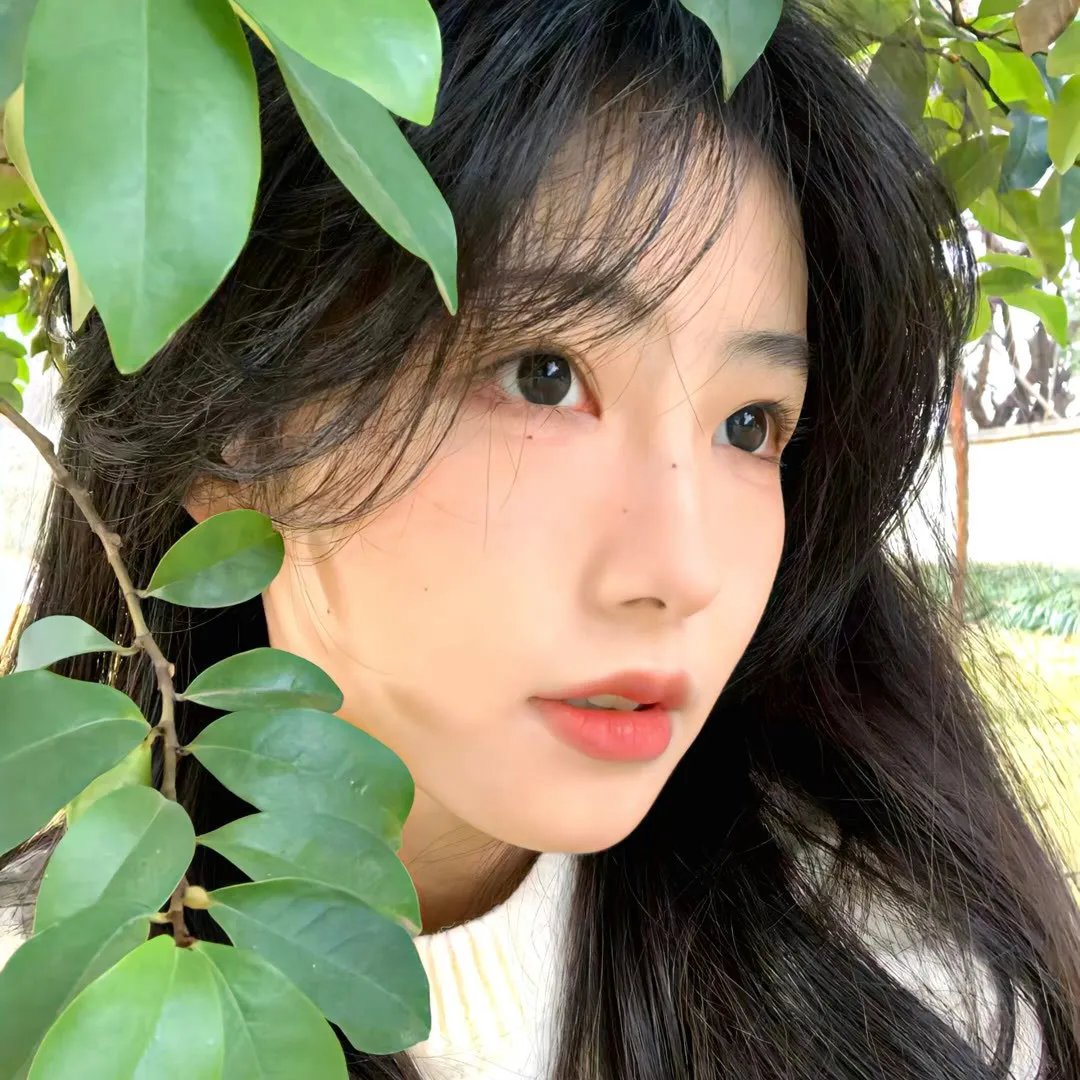 热恋:音乐剧